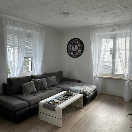 Gemuetliche Wohnung In Zentraler Lage 格拉茨 外观 照片