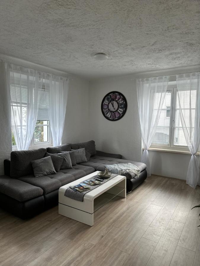 Gemuetliche Wohnung In Zentraler Lage 格拉茨 外观 照片